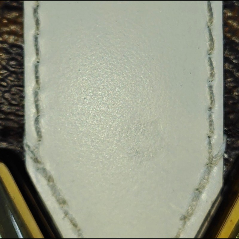 LOUIS VUITTON TWIST 中號棕色塗層帆布老花印花單肩包斜挎包金色五金-9