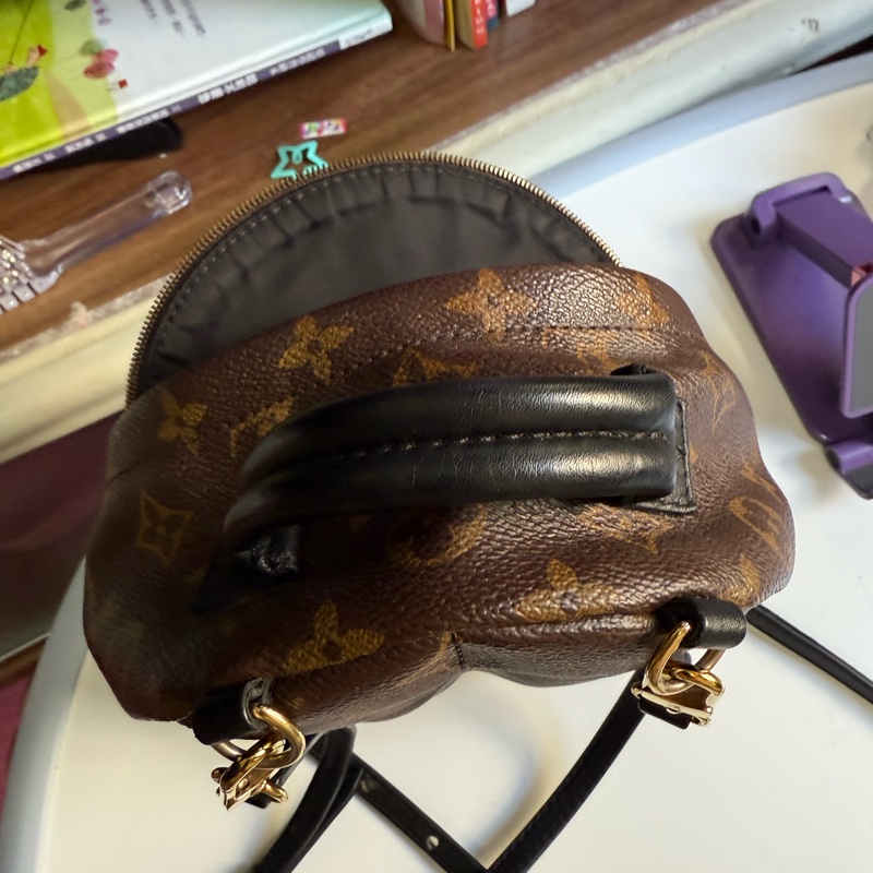 lv Plam spring mini-3