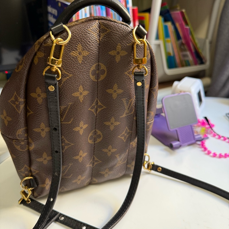 lv Plam spring mini-5