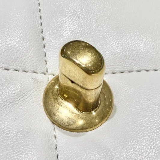 CHANEL - 白色羊皮金釦 19 bag-17