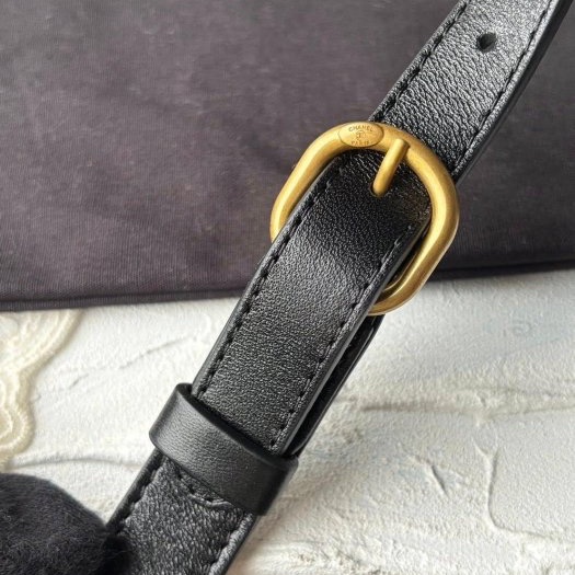 Chanel有型有款的腰包.肩包.斜背包.....-3