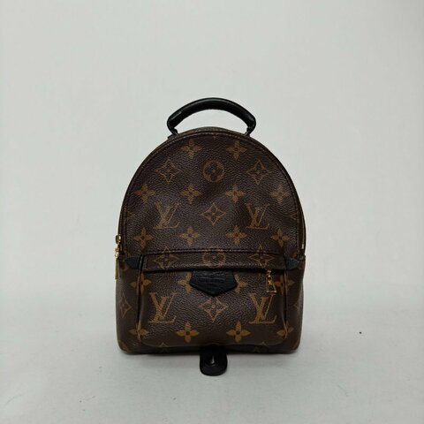 LOUIS VUITTON PalmSprings小書包Mini17新款拉鏈外露老花PVC2020肩背包