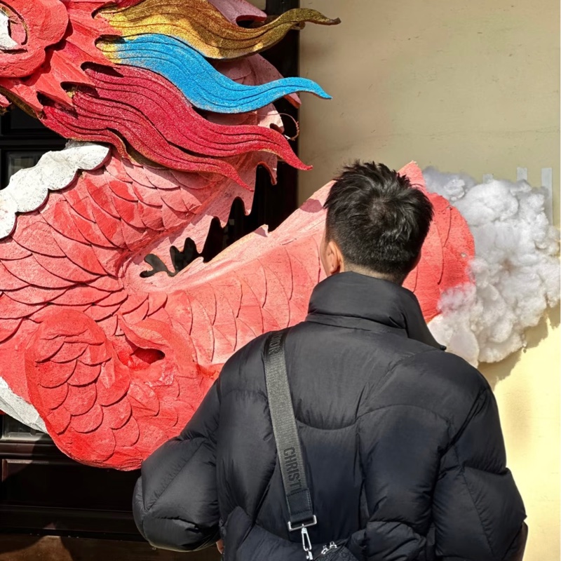 Dior 迪奧Oblique Roller so black黑老花斜背/肩背圓筒包配件齊全-10