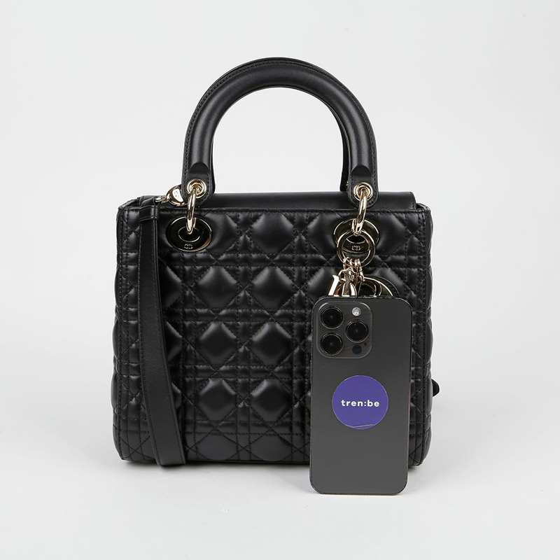 DIOR M0565ONGE 中型手提單肩包-7