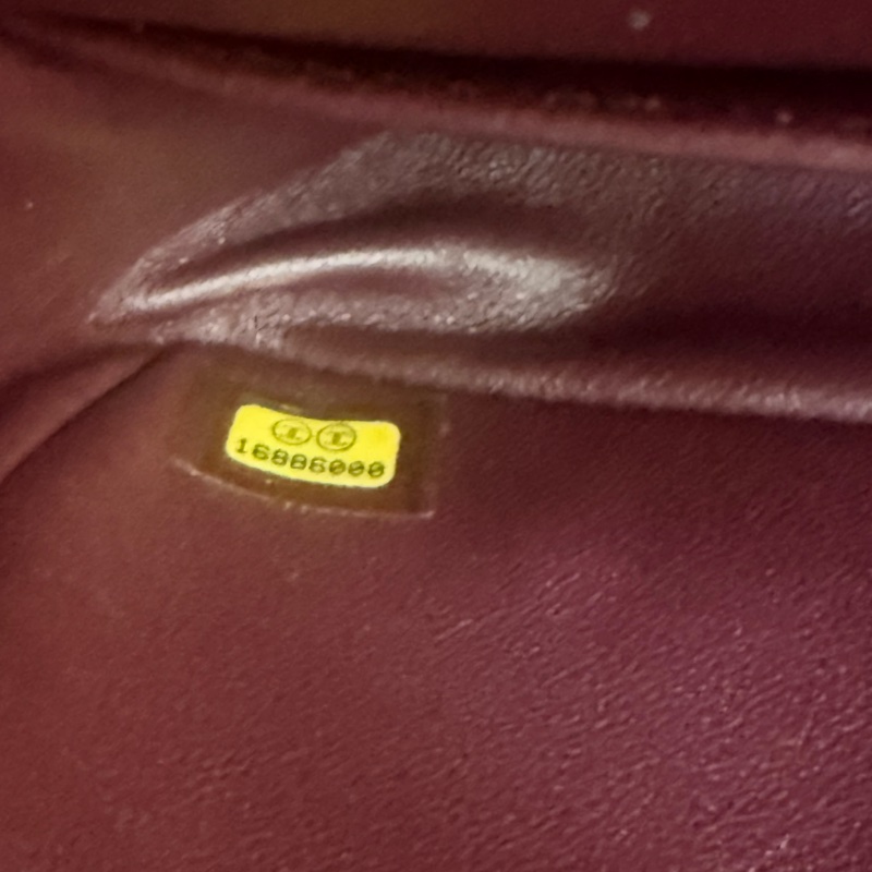 Chanel 2.55 lucky charms bag-3