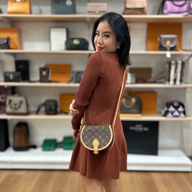 LV Tambourine 老花馬鞍包肩背包-4