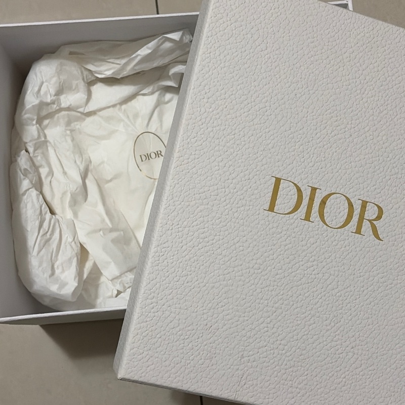 Dior Oblique  Saddle 大號WOC-8