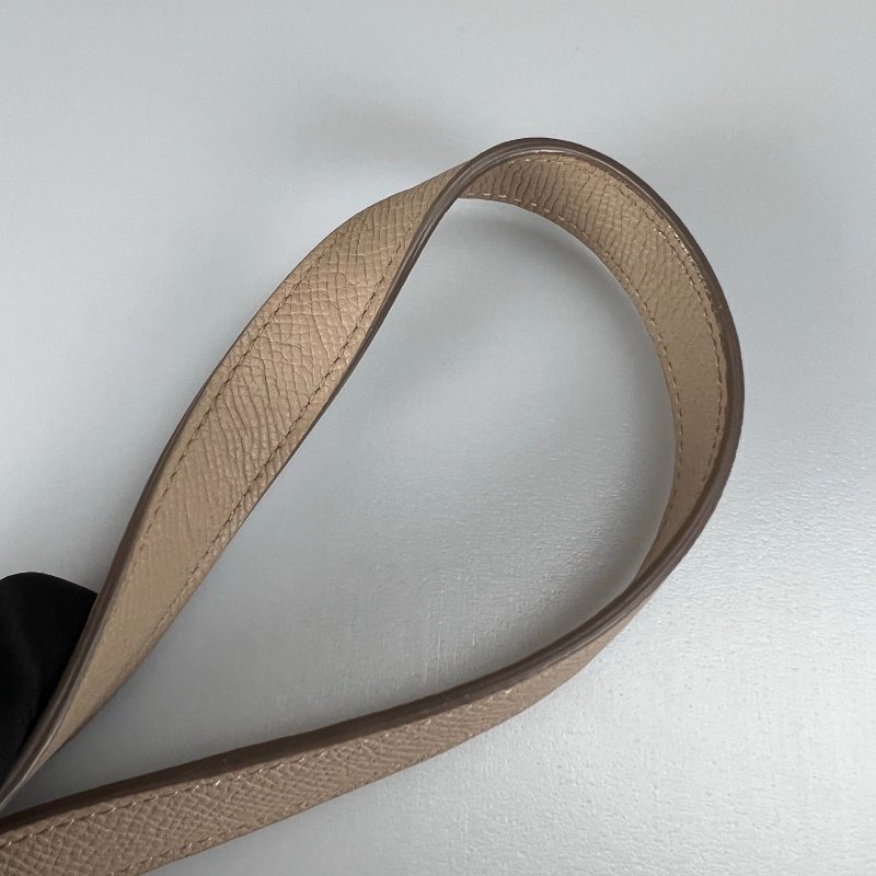 CELINE  奶茶色鯰魚包 MINI-10