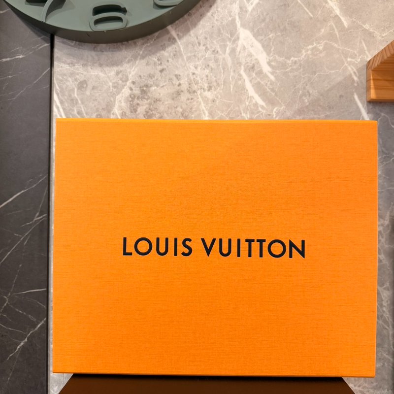 Louis Vuitton – Luxembourg Trainer 全白壓紋小白鞋 全新 全配(僅試穿) 男鞋-19