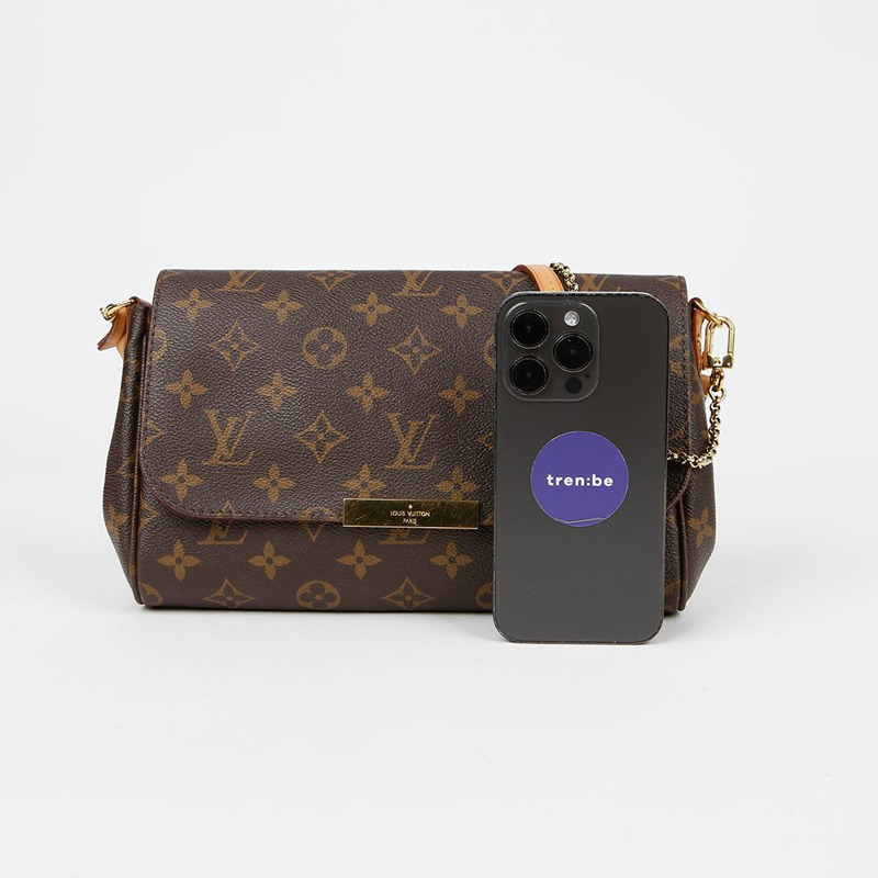 LOUIS VUITTON M40718 Favorite MM 單肩斜背包-6