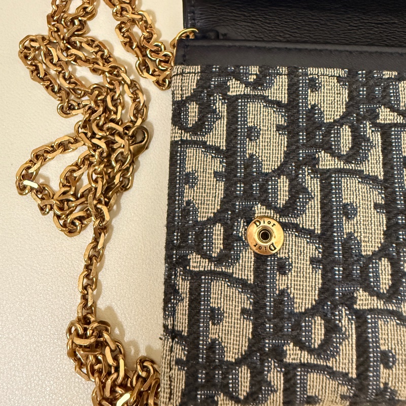 Dior won 老花信封包-10