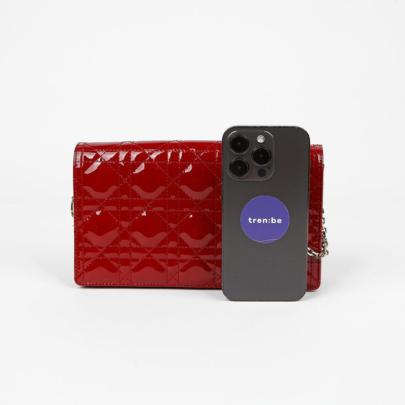 DIOR S0204OVRB 女士手拿包單肩斜背包-5