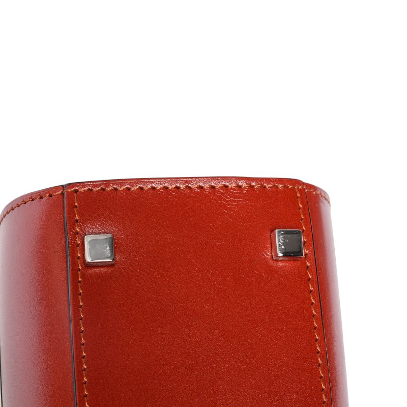 MOYNAT PARIS摩奈Cabotin醫生包-12