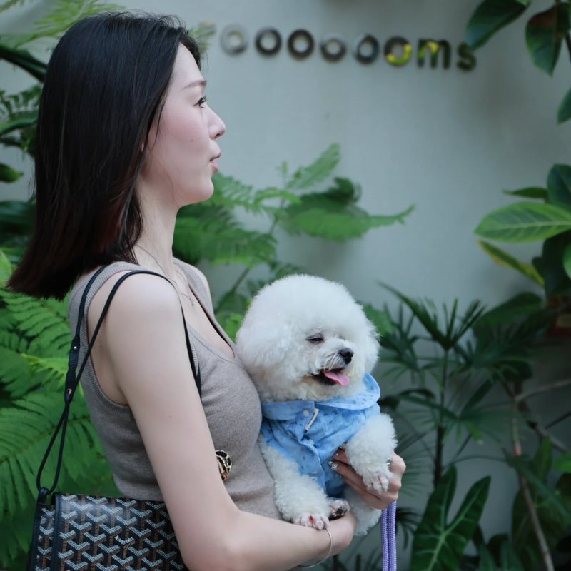 GOYARD Plumet 信封小包 - 黑-9