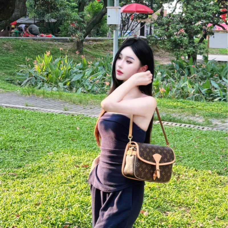 全新Louis Vuitton老花Diane法棍手提側背斜背包M45985-15