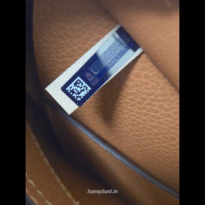 Chloe Darryl 編織小牛皮 肩背包 斜背包-33