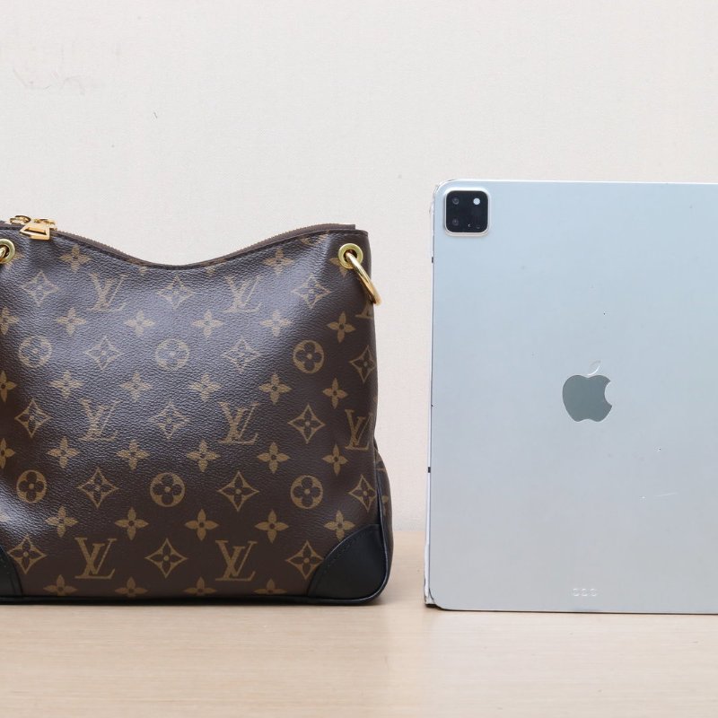 LOUIS VUITTON Odeon單肩斜挎牛角包小號24黑色PVC金扣晶片肩背包-4