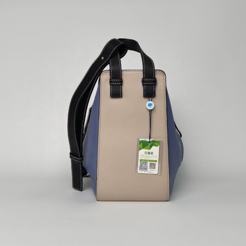 LOEWE Hammock吊床包小號拼色牛皮銀扣肩背包-2