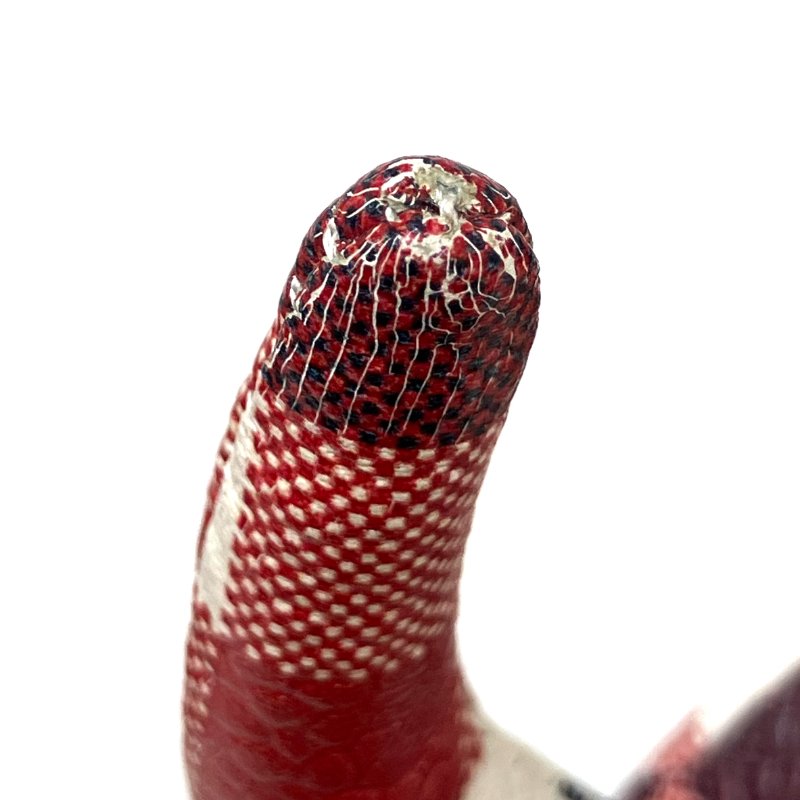 ☆ Thom Browne Blue Red White Coated Canvas Checked Dog Shoulder Bag 藍色紅色白色塗層帆布格紋小狗肩背包 - 257022417-20