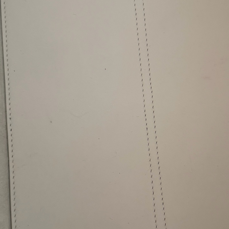 Dior Toujours 中號手提包 白雪公主 白色金釦-22