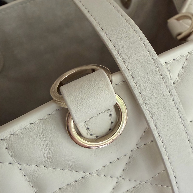 Dior Toujours 中號手提包-25