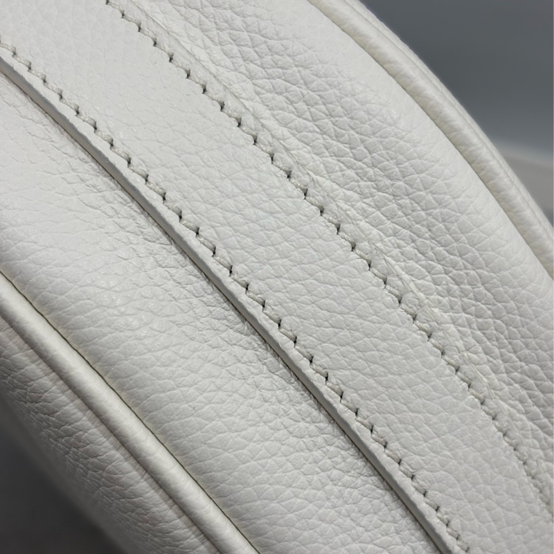 DIOR AND HYLTON NEL Dior Yoyo 聯名款 全皮 狗狗 狗 抽象 圓餅包 斜背包-20