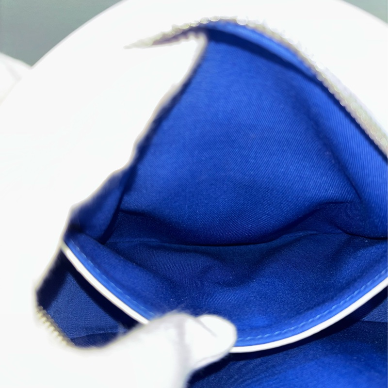 DIOR AND HYLTON NEL Dior Yoyo 聯名款 全皮 狗狗 狗 抽象 圓餅包 斜背包-34