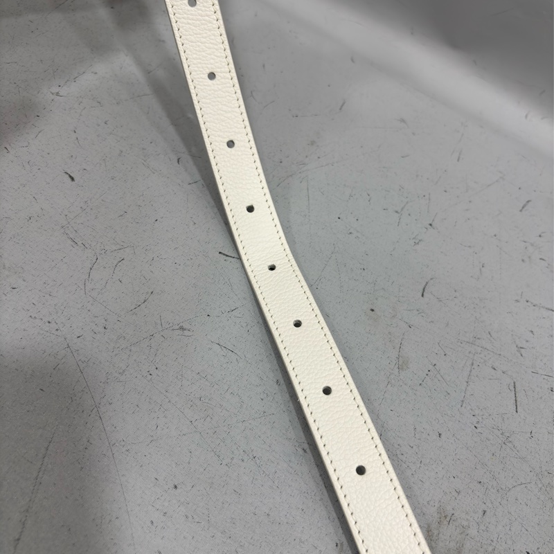 DIOR AND HYLTON NEL Dior Yoyo 聯名款 全皮 狗狗 狗 抽象 圓餅包 斜背包-41