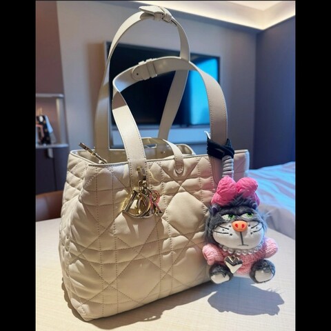 Dior 迪奧 Toujours 中型手提包 奶茶色 
淺駝米色