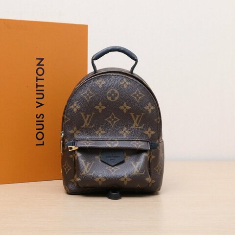 LOUIS VUITTON PalmSprings小書包Mini17新款拉鏈外露老花PVC晶片肩背包