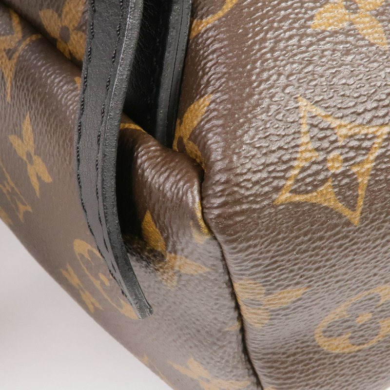 LOUIS VUITTON Monogram Palm Springs PM金扣背包-8