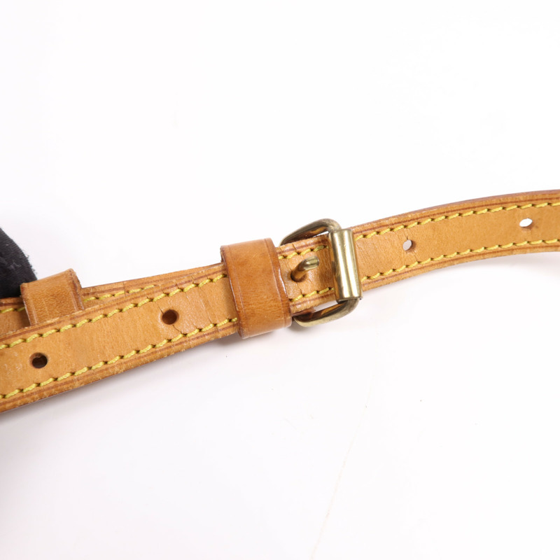 LOUIS VUITTON Monogram Blois金扣肩背袋-12