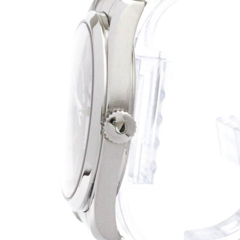 歐米茄海馬系列Aqua Terra大自動腕錶2502.80拋光款-3