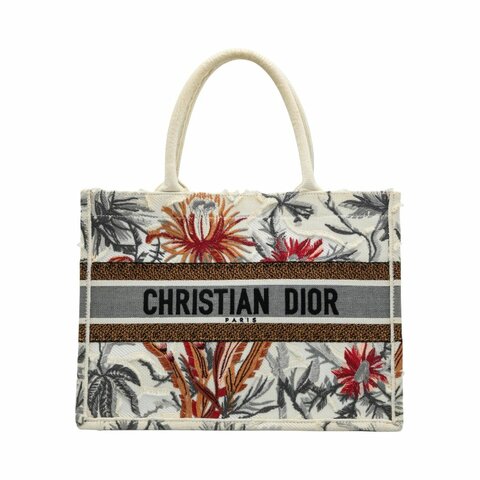 DIOR迪奥2020春夏系列中號 Book Tote托特包