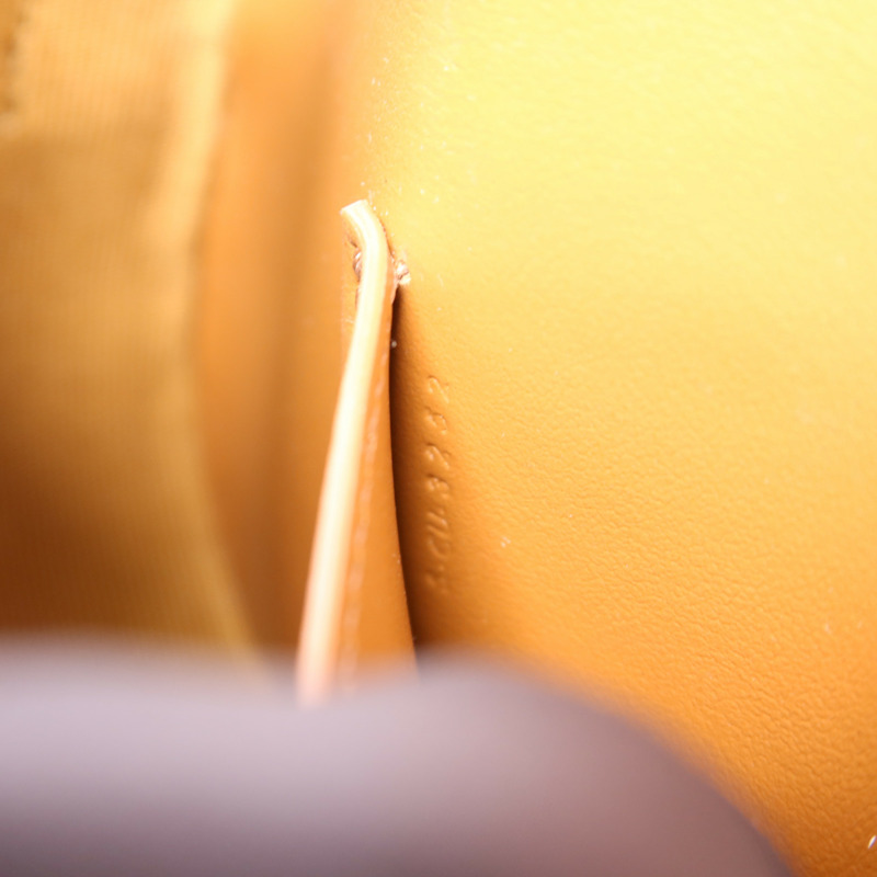 CELINE 塗層帆布Clutch On Strap Bag金扣手挽肩背兩用袋-9