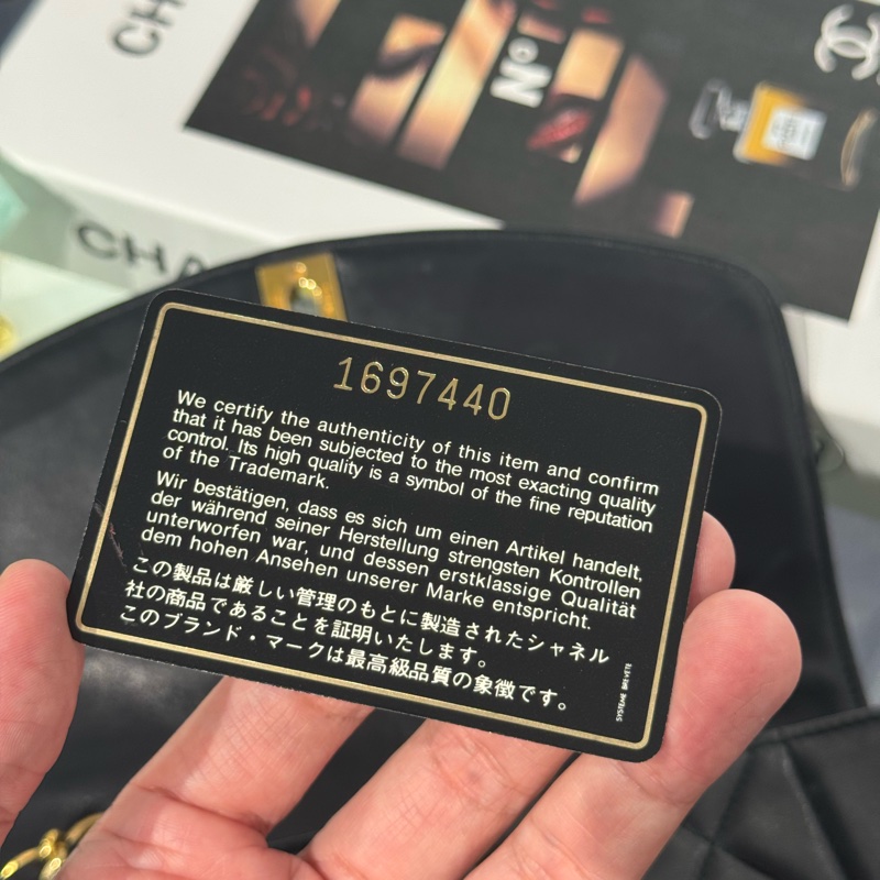 上架中🔑Chanel vintage coco Diana黛妃口蓋鏈包22cm-22