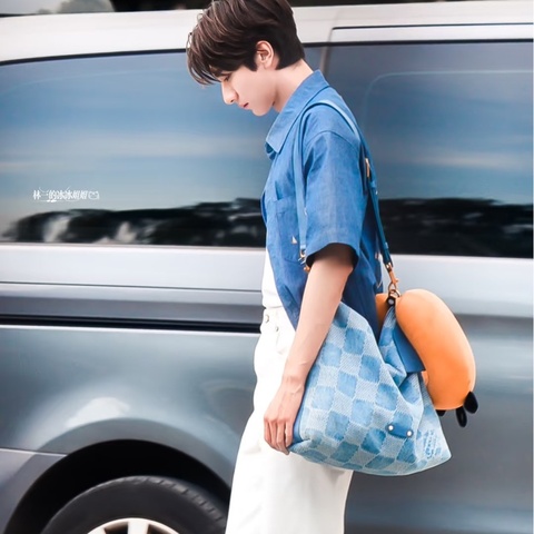 ®️LV Vagabond Hobo N00202 晶片款