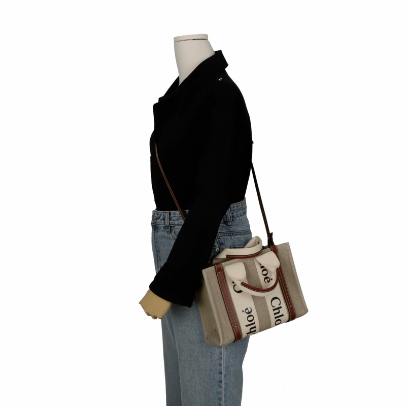 CHLOE Woody 小號手提單肩包 CHC21US385-7