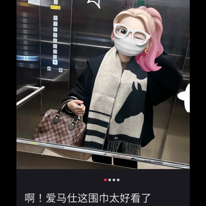 Hermes愛馬仕馬頭love story圍巾-4