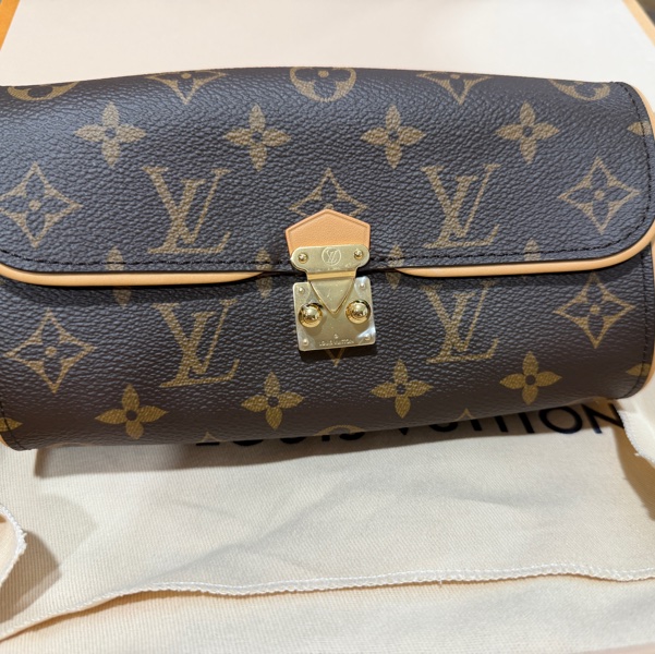 全新 Louis Vuitton M13566 Pochette Camille-6