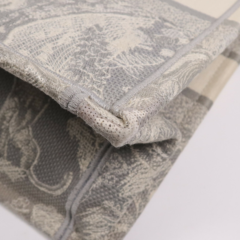 Dior 帆布Book Tote手挽袋-8