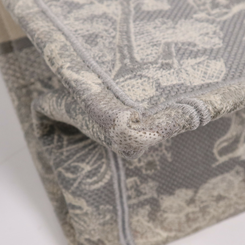 Dior 帆布Book Tote手挽袋-9