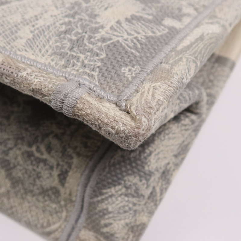 Dior 帆布Book Tote手挽袋-10