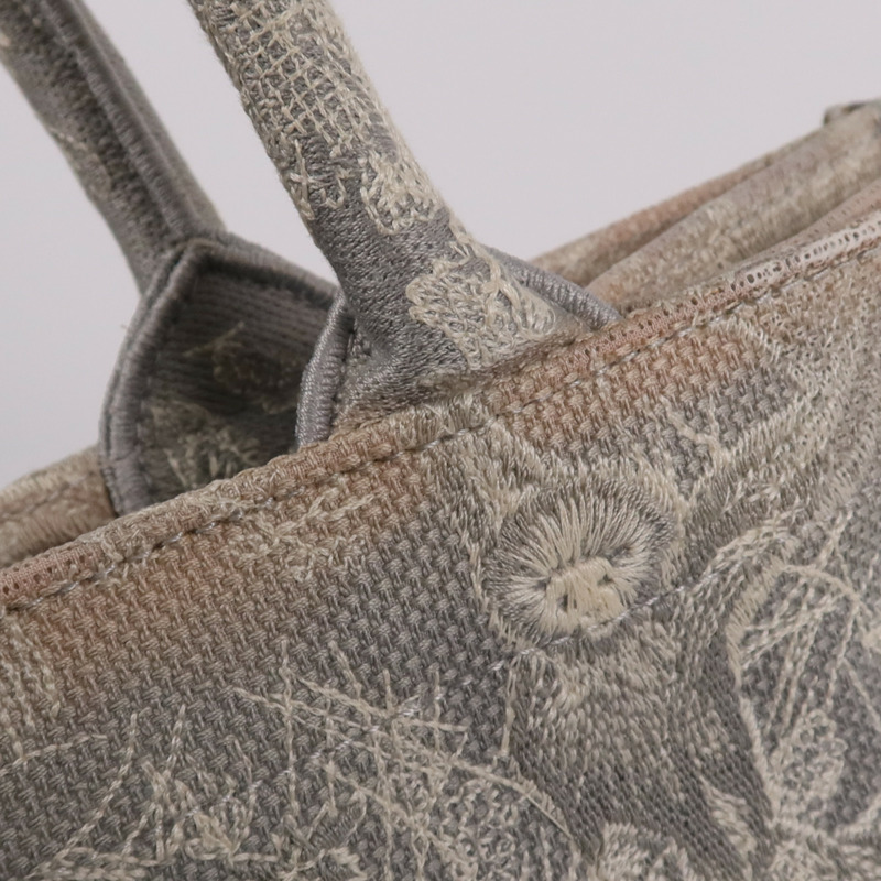 Dior 帆布Book Tote手挽袋-19