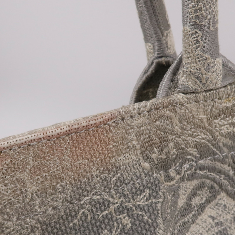 Dior 帆布Book Tote手挽袋-21
