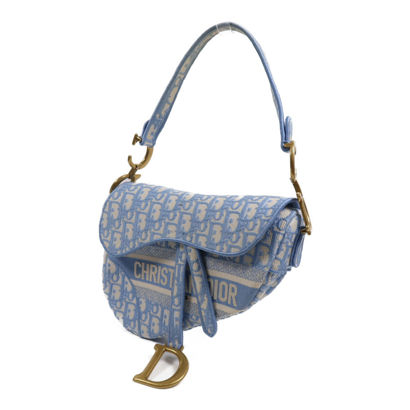 Dior 帆布Saddle金扣手挽袋-2