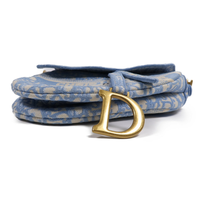 Dior 帆布Saddle金扣手挽袋-3