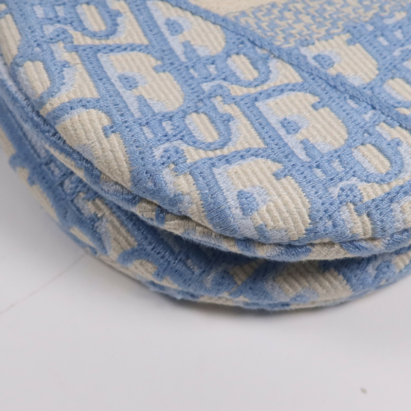 Dior 帆布Saddle金扣手挽袋-4