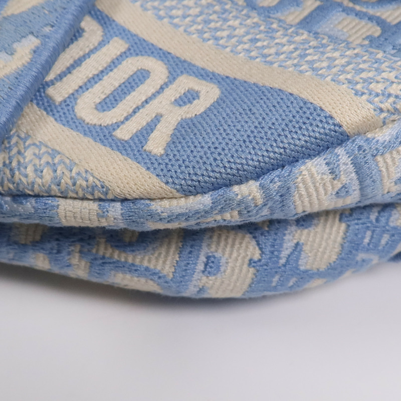 Dior 帆布Saddle金扣手挽袋-5