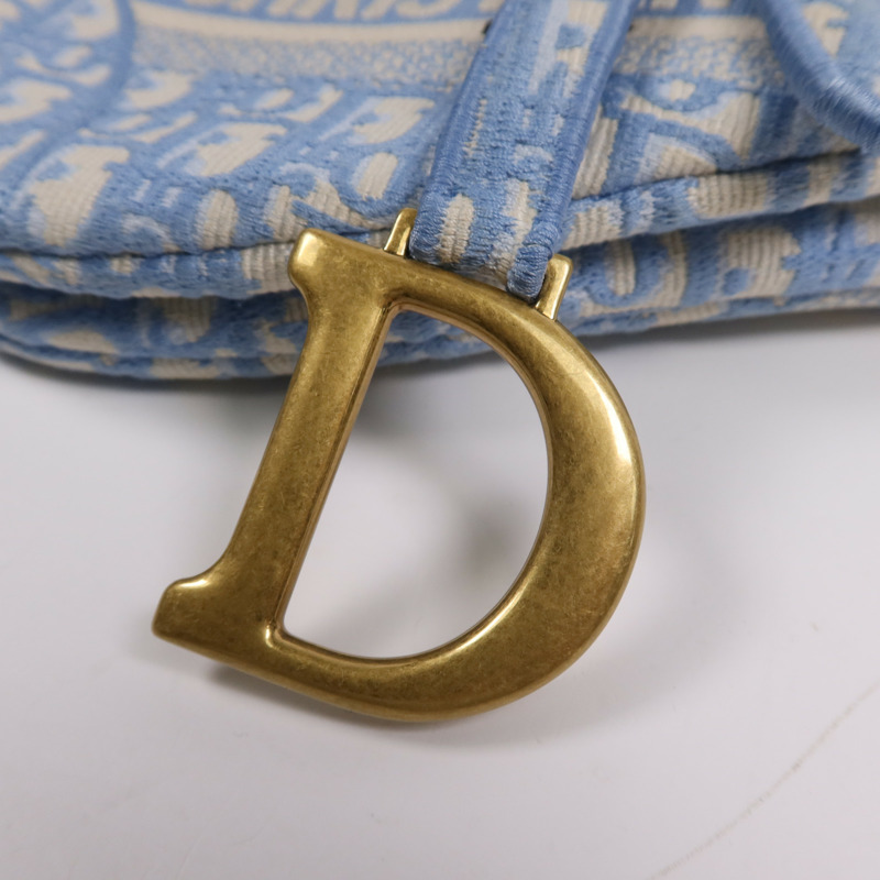 Dior 帆布Saddle金扣手挽袋-9